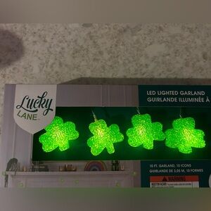 “New” Lucky Lane LED Lighted Green Shamrock 10 ft Garland
